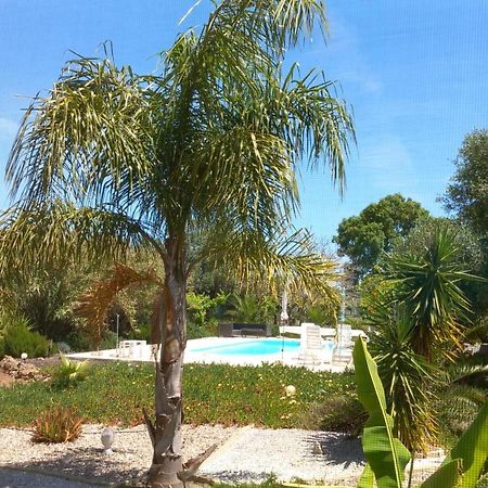 Quinta Laranjal Da Arrabida Bed & Breakfast Palmela Eksteriør bilde